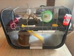 Hamsterhok, Gebruikt, Hok, Ophalen, Minder dan 60 cm