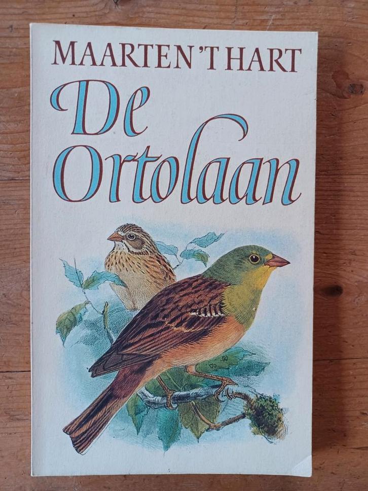 De Ortolaan - Maarten 't Hart, Boeken, Boekenweekgeschenken, Gelezen, Ophalen of Verzenden