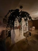 Pomax kunstbloemen , takken 3 stuks, Ophalen of Verzenden