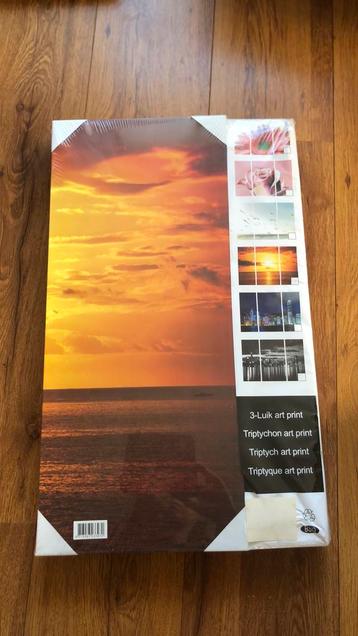 3-luik art canvas schilderij beschikbaar voor biedingen
