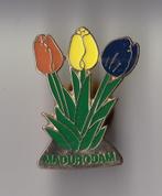Madurodam Tulpen pin, Verzamelen, Speldjes, Pins en Buttons, Gebruikt, Niet vindbaar, Niet vindbaar, Speldje of Pin