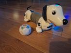 Silverlit Robo Hond - Leuk kerst cadeau!, Ophalen, Gebruikt, Jongen of Meisje