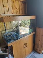Aquarium Juwel 220 liter Compleet, Ophalen, Zo goed als nieuw