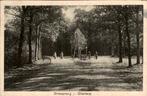 Driesprong - Olterterp, Ophalen of Verzenden, Voor 1920, Gelopen, Friesland