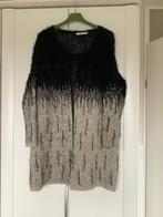 Mooi vest maat 50, Kleding | Dames, Grote Maten, Overige kleuren, Trui of Vest, Ophalen of Verzenden, Zo goed als nieuw