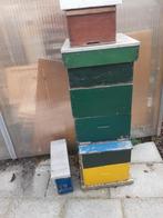 Bijenkasten te koop, Dieren en Toebehoren, Bijen