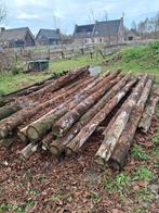 Onbehandeld hardhout, Ophalen of Verzenden, Zo goed als nieuw, 250 cm of meer, Palen