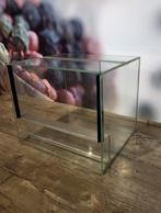 Terrarium 30x30x25, Huis en Inrichting, Woonaccessoires | Krantenbakken en Lectuurbakken, Ophalen of Verzenden, Nieuw