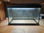 60l aquarium, Dieren en Toebehoren, Vissen | Aquaria en Toebehoren, Ophalen, Gebruikt, Leeg aquarium