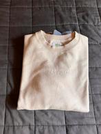 Sweater van  DC-Shoes maat (L voor 14 jarige), Ophalen of Verzenden, Nieuw, Jongen, Trui of Vest