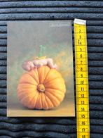 679. Kaart Anne Geddes Baby pompoen, Ophalen of Verzenden, Ongelopen