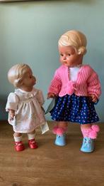 🐢Schildpadpoppen Inge nieuw🐢, Ophalen of Verzenden, Nieuw, Pop