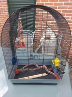 Vogelkooi geheel compleet, Dieren en Toebehoren, Ophalen, Zo goed als nieuw, Metaal, Vogelkooi