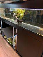 Aquarium met onderkast zie foto 3 150 bij 40 bij 30, Dieren en Toebehoren, Ophalen of Verzenden, Zo goed als nieuw, Leeg aquarium