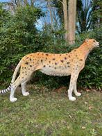 Cheeta beeld jachtluipaard tuin Afrika vijver zwembad  kerst, Tuin en Terras, Ophalen, Nieuw, Kunststof