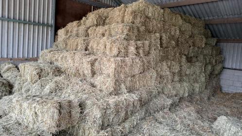 Kleine pakjes hooi en grote pakken stro, Dieren en Toebehoren, Dierenvoeding, Vee, Ophalen
