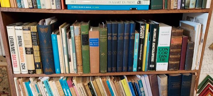 Diverse titels - zie omschrijving, Antiek en Kunst, Antiek | Boeken en Bijbels, Ophalen