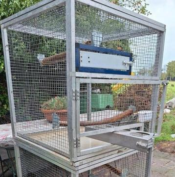 Voliere vogelkooi voilerepanelen broedkooi vogelhok beschikbaar voor biedingen