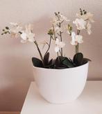 Witte vaas met kunstofzijde orchideeën, Minder dan 50 cm, Wit, Zo goed als nieuw, Ophalen
