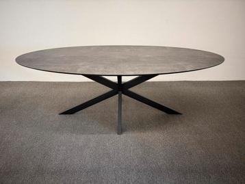 Ovale eettafel HPL beton print 220x105 beschikbaar voor biedingen