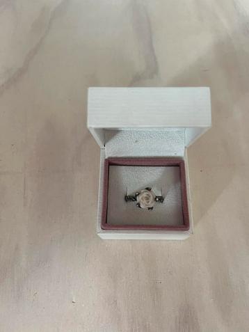 Pandora Zilveren Roos Ring beschikbaar voor biedingen