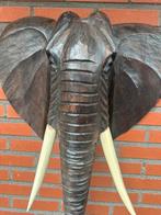 Olifant hoofd voor aan de wand, Ophalen of Verzenden