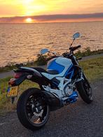 Suzuki Gladius 650, Particulier