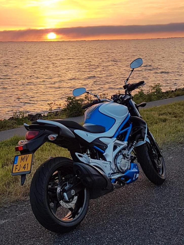 Suzuki Gladius 650, Motoren, Motoren | Suzuki, Particulier, Ophalen