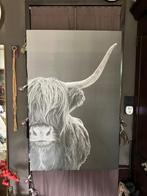 Canvas schilderij met Schotse Hooglander, Ophalen, Zo goed als nieuw, Foto of Poster, 75 cm of meer