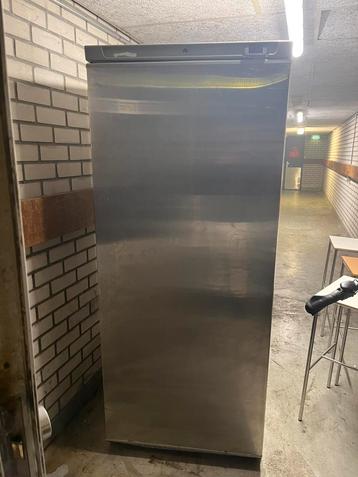 SPOED!! RVS Horeca vriezer (vriest perfect) beschikbaar voor biedingen