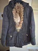 Airforce dames jas, Airforce, Zwart, Maat 42/44 (L), Ophalen of Verzenden