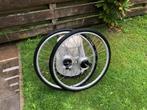 Wielen 28 inch achterwiel 8 NEXUS versnellin. rollerbrake, Fietsen en Brommers, Fietsonderdelen, Wiel, Gebruikt, Shimano Nexus