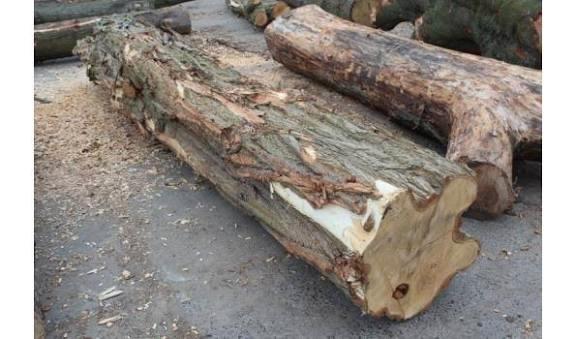 Boomstam GEZOCHT, Tuin en Terras, Haardhout, Minder dan 3 m³, Ophalen of Verzenden