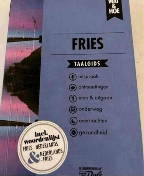 FRIES TAALGIDS WAT & HOE, Boeken, Reisgidsen, Zo goed als nieuw, Taalgids, Overige merken, Ophalen of Verzenden