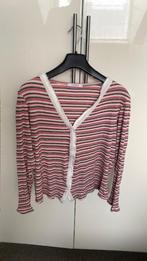 Gestreept vest maat M van Transfer roze,grijs,wit, Kleding | Dames, Tops, Overige kleuren, Ophalen of Verzenden, Zo goed als nieuw
