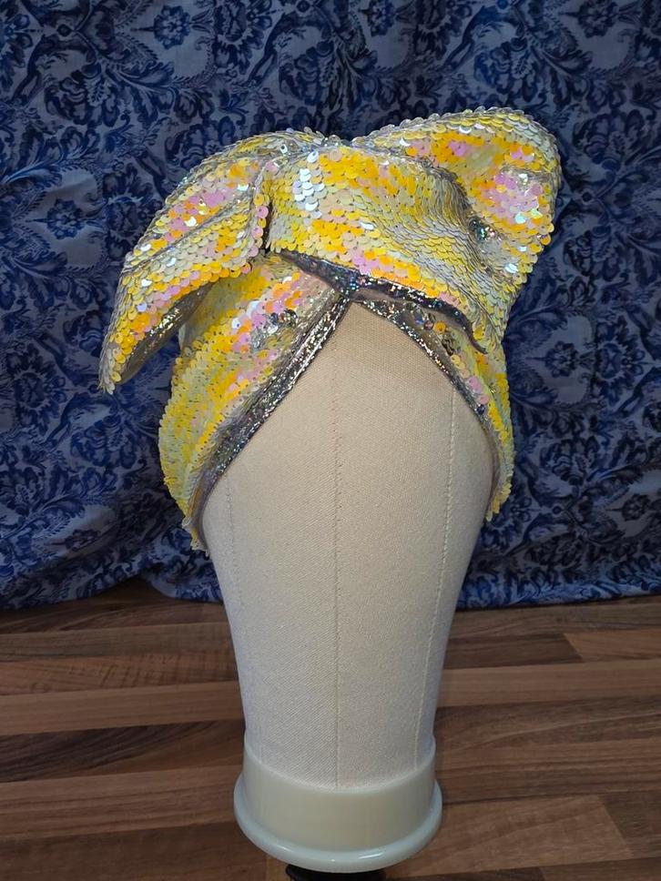 Glitter Haarband - Carnaval, Themafeest, Kleding | Dames, Carnavalskleding en Feestkleding, Nieuw, Carnaval, Ophalen of Verzenden