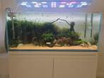 Ada 120p compleet, Ophalen, Gebruikt, Leeg aquarium