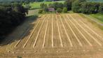 Hooibaaltjes van kruidenrijk grasland. Ideaal voor paarden., Dieren en Toebehoren, Dierenvoeding, Ophalen, Overige soorten