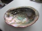 Nette Abalone schelp, Schelp(en), Ophalen of Verzenden