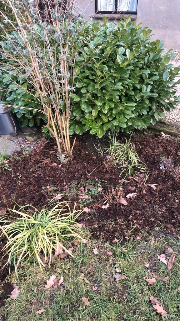 Paardenmest gratis voor compost - moestuin, Tuin en Terras, Aarde en Mest, Mest, Ophalen