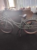 Alpina cargo 22 inch licht blauw meisje, Fietsen en Brommers, Fietsen | Meisjes, Ophalen, 22 inch, Alpina Cargo, Handrem