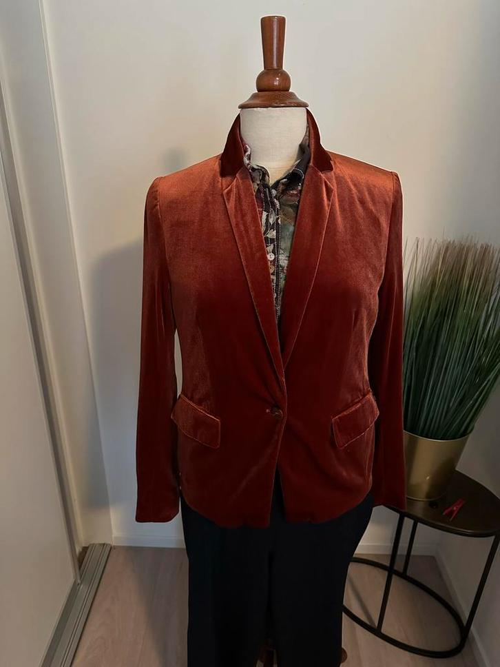 Anna velvet blazer - maat 38/40, Kleding | Dames, Jasjes, Kostuums en Pakken, Zo goed als nieuw, Jasje, Maat 38/40 (M), Bruin