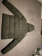 Superdry Winterjas, Ophalen, Maat 52/54 (L), Zwart, Zo goed als nieuw