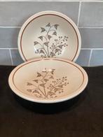 Vintage schaaltje Biltons (240925), Huis en Inrichting, Keuken | Servies, Gebruikt, Ophalen of Verzenden, Schaal of Schalen, Overige stijlen