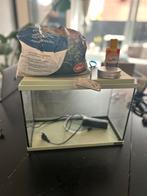 Aquarium, Ophalen of Verzenden, Leeg aquarium
