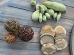 Decoratie materiaal, Huis en Inrichting, Woonaccessoires | Overige, Ophalen of Verzenden, Gebruikt