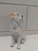 Mooi  hondje met een gebroken pootje., Ophalen