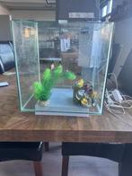 Aquarium 60 liter, Ophalen of Verzenden, Zo goed als nieuw