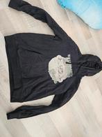 Hoodie trui star wars mandalorian grogu, Kinderen en Baby's, Ophalen of Verzenden, Gebruikt, Jongen, Trui of Vest