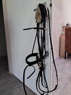 Rondgenaaid hoofdstel maat full. lak neusriem. Rond genaaid, Dieren en Toebehoren, Paarden en Pony's | Hoofdstellen en Tuigage